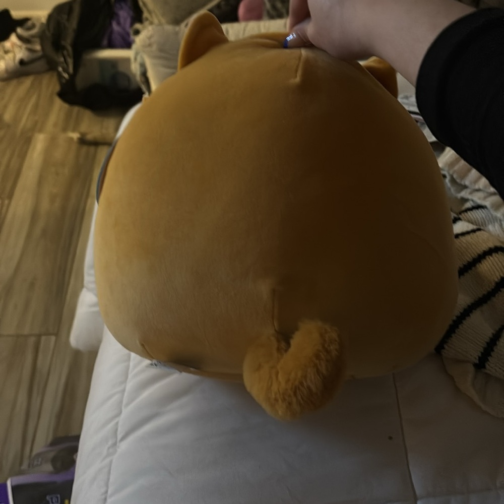 Squishmallow - Picture 2 of 3